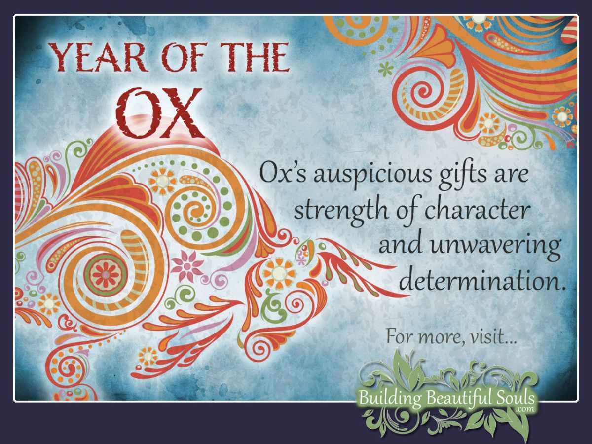 Chinese Zodiac Ox | Year of the Ox | Chinese Zodiac Signs Meanings