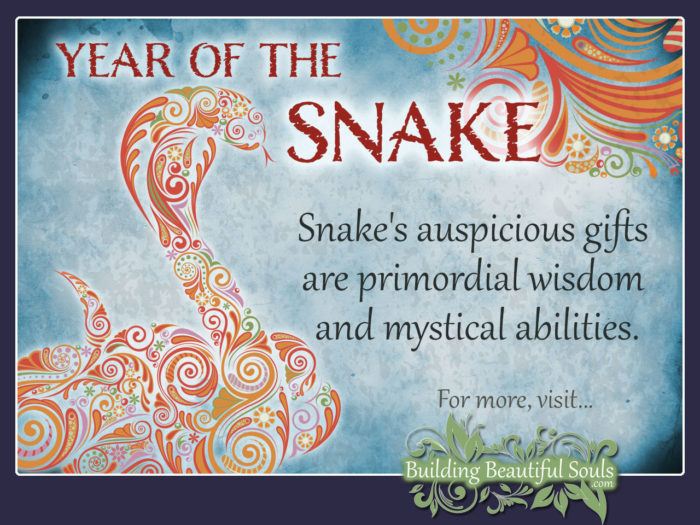 Chinese Zodiac Snake & Year of the Snake 1280x960