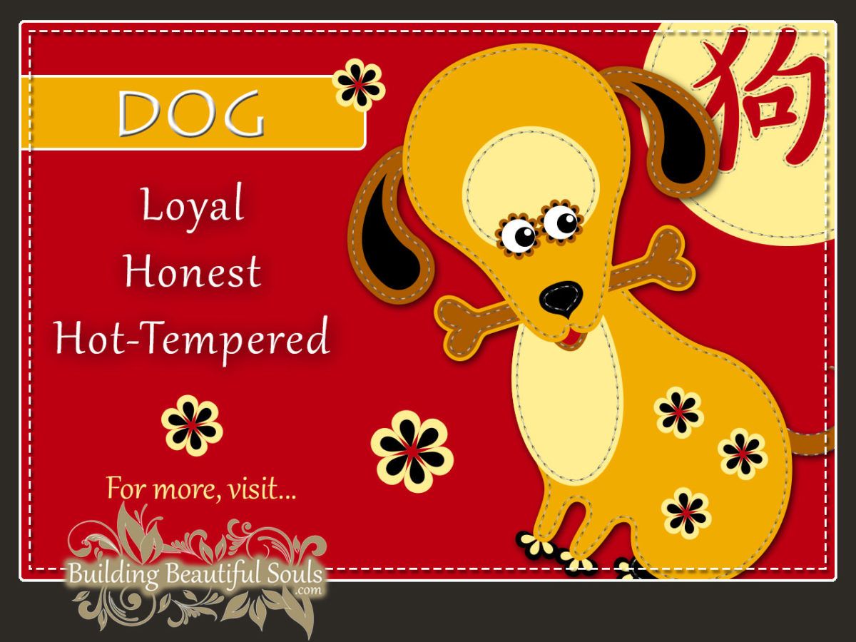 Chinese Zodiac Dog - Year of the Dog - Chinese New Year Animals 1280x960