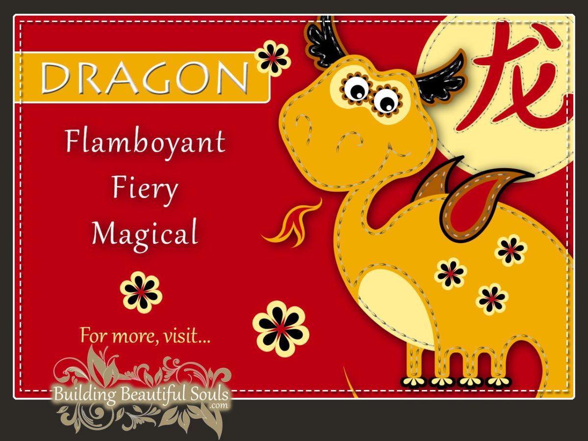 Chinese Zodiac  Dragon - Year of the  Dragon - Chinese New Year Animals 1280x960