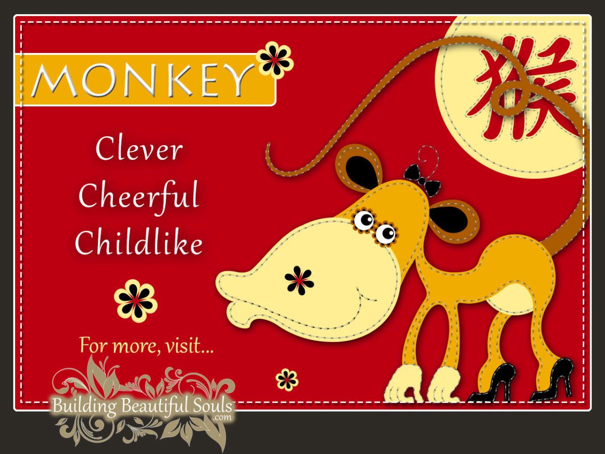 Chinese Zodiac Monkey - Year of the Monkey - Chinese New Year Animals 1280x960