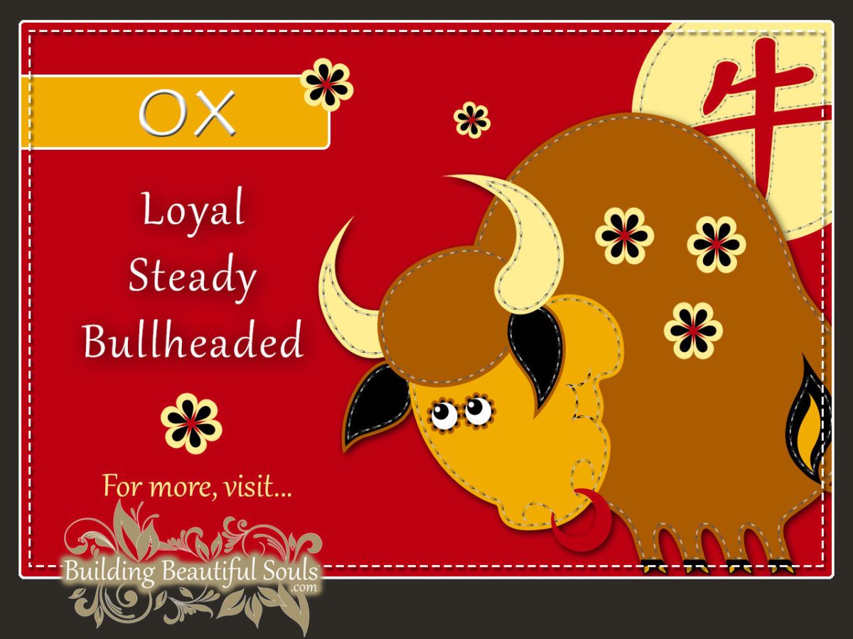 Chinese Zodiac Ox - Year of the Ox - Chinese New Year Animals 1290x960