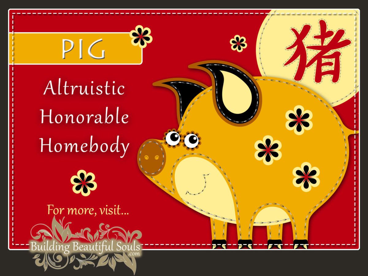 Chinese Zodiac Pig - Boar - Year of the Pig - Boar - Chinese New Year Animals 1290x960