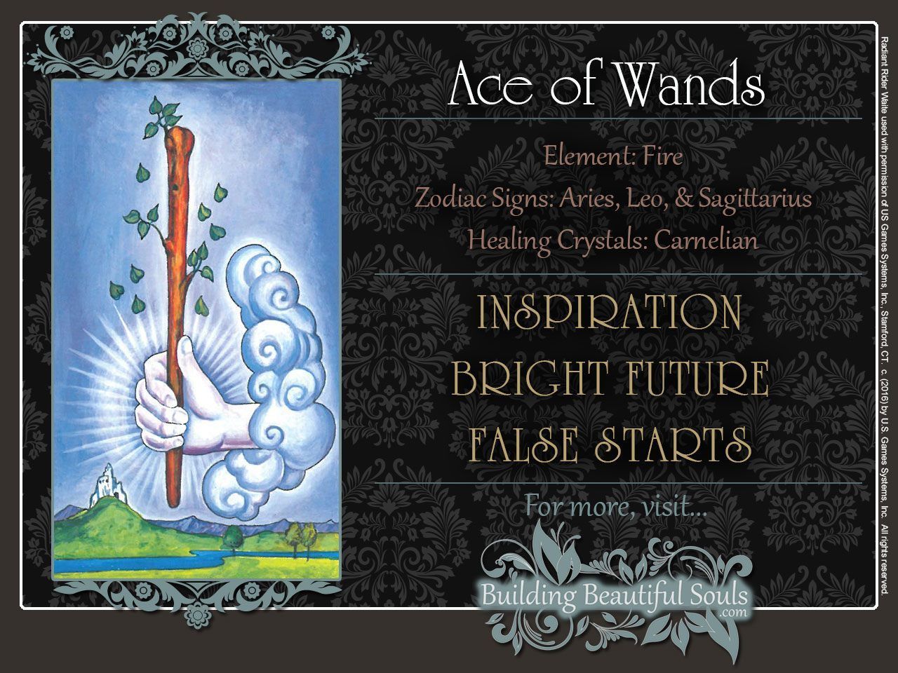 The Ace of Wands Tarot Card Meanings | Tarot Reading