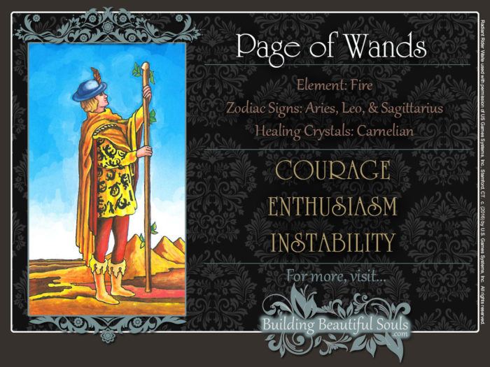 Page of Wands Tarot Card Meanings Rider Waite Tarot Deck