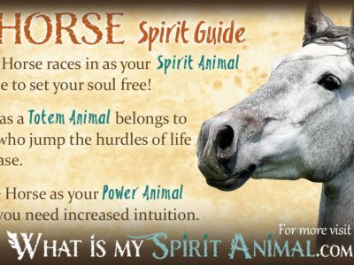 Horse Spirit Totem Power Animal Symbolism Meaning 1200x630