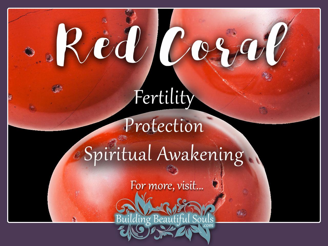 Red Coral Meaning & Properties - Healing Crystals & Stones 1280x960