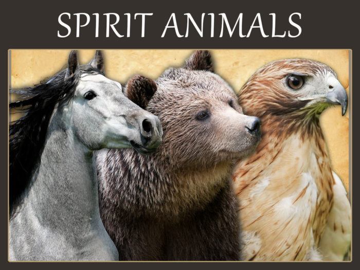 Spirit Animal Symbolism Meanings 1280x960