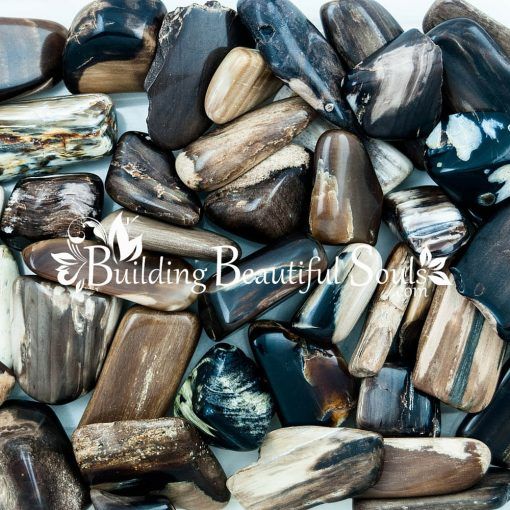Healing Crystals Stones Tumbled Petrified Wood Metaphysical New Age Store 1000x1000