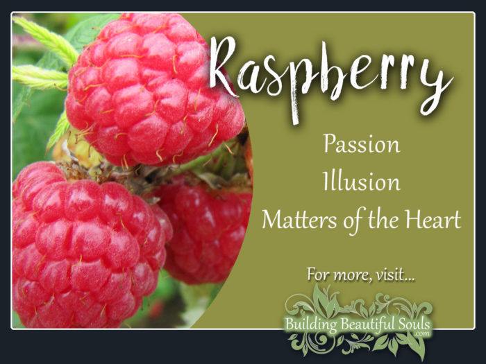 Raspberry Meaning Symbolism Flower Meanings 1280x960