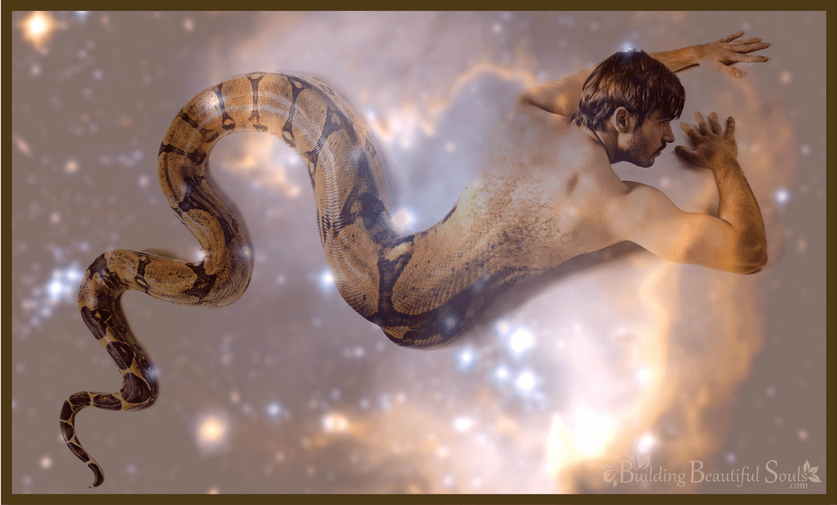 Snake Dreams - Sexuality & Kundalini Awakening 1200x724