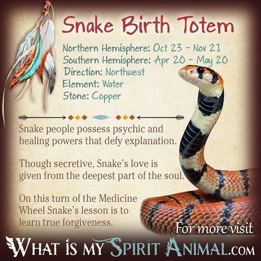 Native American Zodiac Signs - Snake Birth Totem 525x525