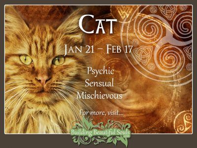 Cat Celtic Zodiac Animal Meanings, Traits, & Personality 1280x960