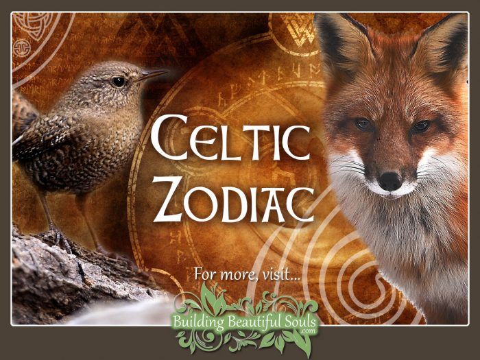 Celtic Zodiac Animal Meanings & Celtic Astrology 1280x960