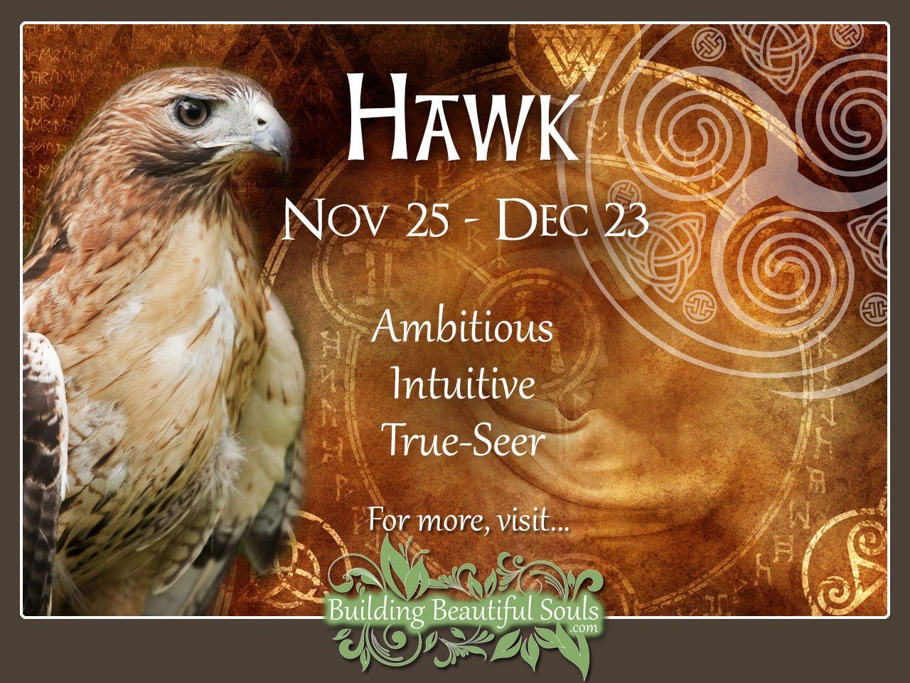 Hawk Celtic Zodiac Animal Meanings, Traits, & Personality 1280x960