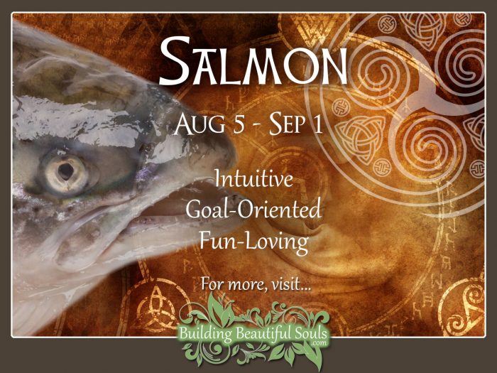 Salmon Celtic Zodiac Animal Meanings, Traits, & Personality 1280x960