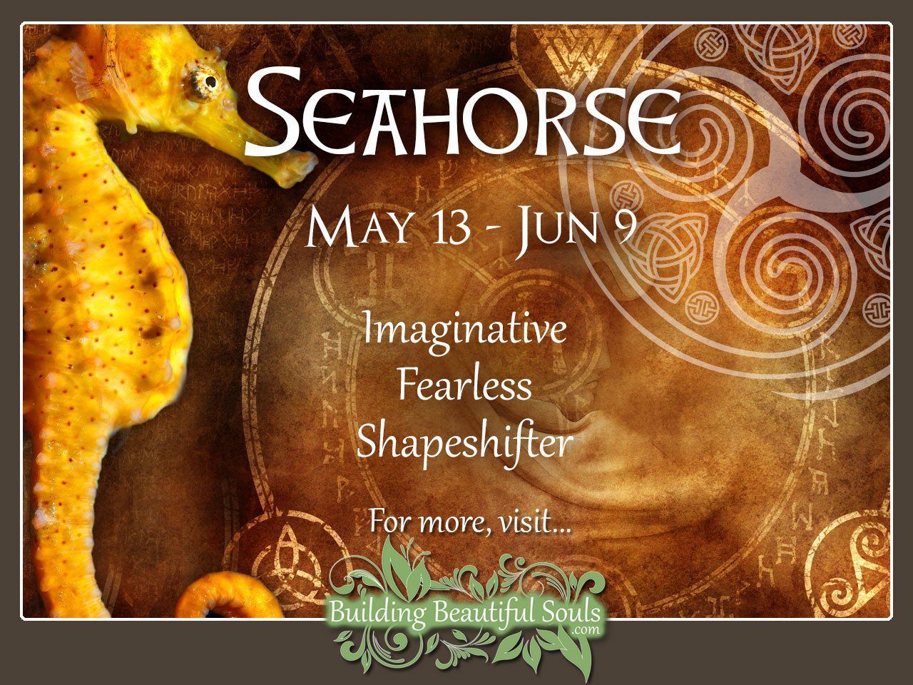 Seahorse Celtic Zodiac Animal Meanings, Traits, & Personality 1280x960