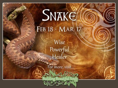 Snake (Adder) Celtic Zodiac Animal Meanings, Traits, & Personality 1280x960