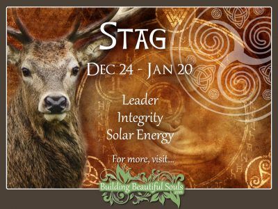 Stag or Deer Celtic Zodiac Sign Animal 1280x960