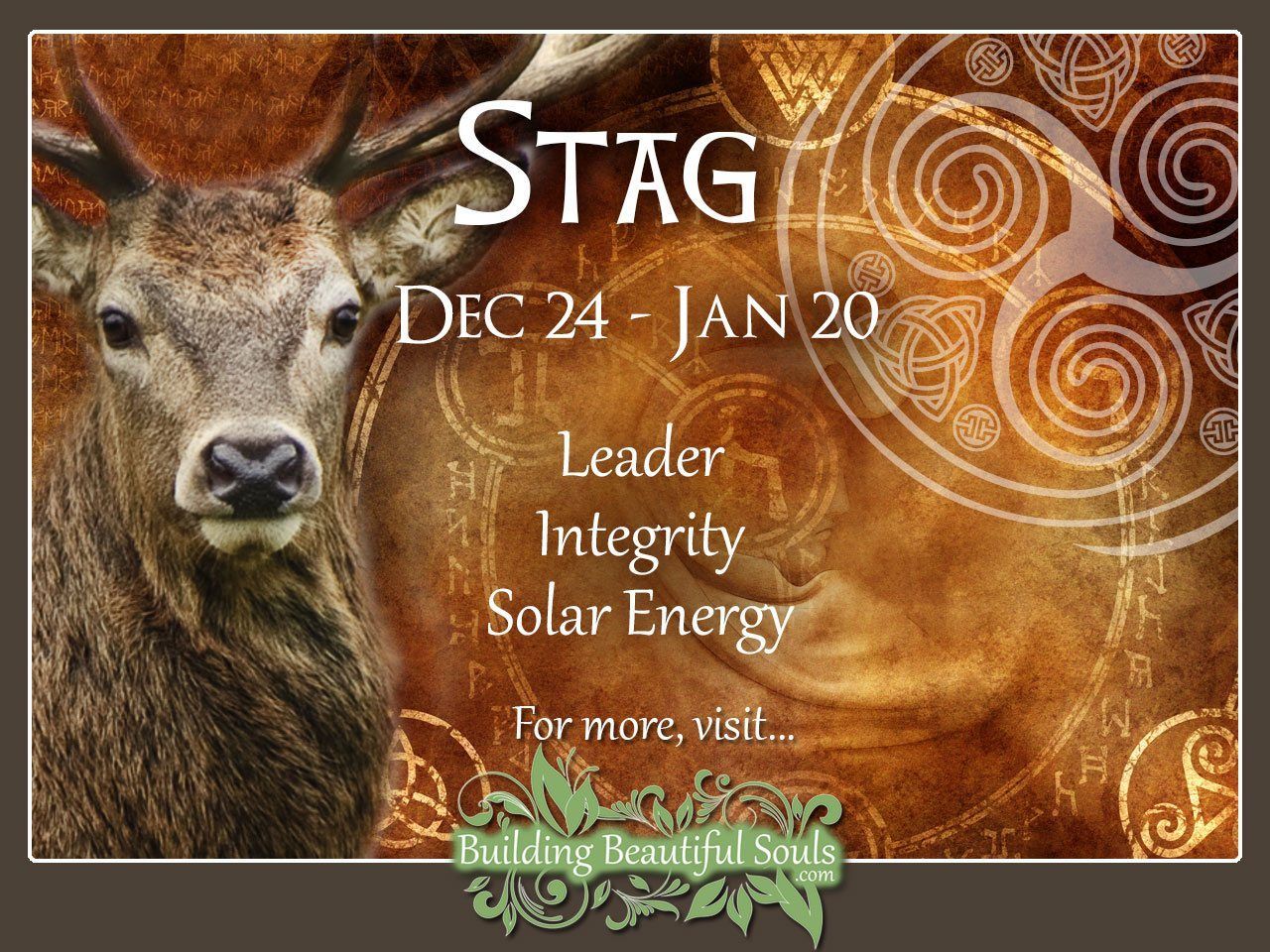 Stag or Deer Celtic Zodiac Sign Meanings, Traits, Personality, &  Compatibility | Celtic Astrology