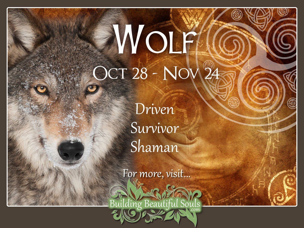 Wolf Celtic Zodiac Animal Betydelser, egenskaper, personlighet 1280x960