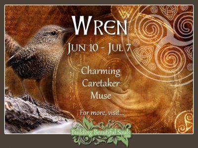 Wren Celtic Zodiac Animal Meanings, Traits, & Personality 1280x960