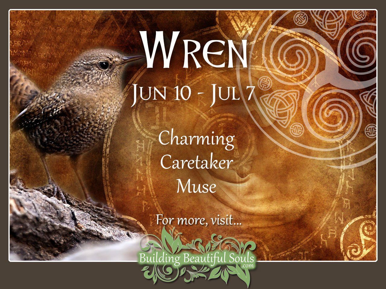 Wren Celtic Zodiac Animal Meanings, Traits, & Personality 1280x960