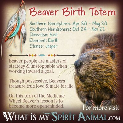 Native American Zodiac Beaver Birth Totem 1200x1200