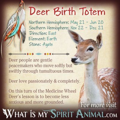 Native American Zodiac Deer Birth Totem 1200x1200
