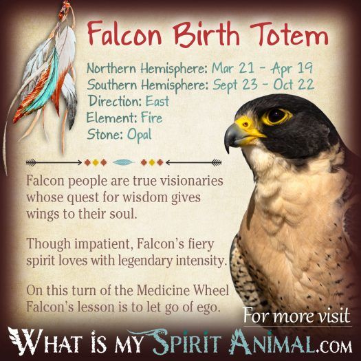 Native American Zodiac Falcon Birth Totem 1200x1200