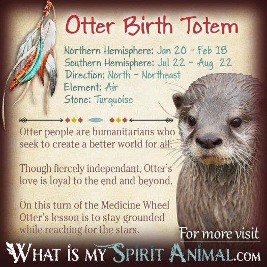 Native American Zodiac Otter Birth Totem 1200x1200