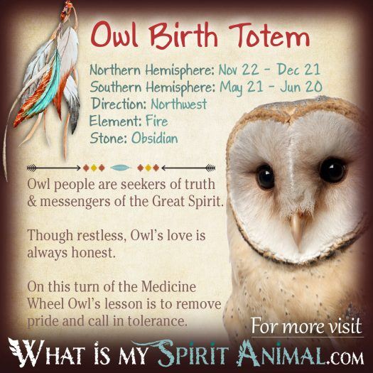 Native American Zodiac Owl Birth Totem 1200x1200