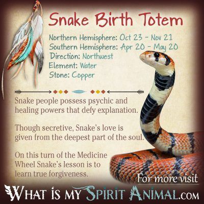 Native American Zodiac Snake Birth Totem 1200x1200