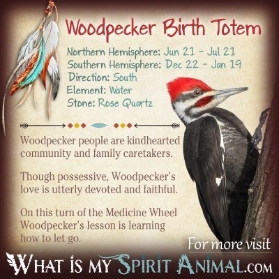 Native American Zodiac Woodpecker Birth Totem 1200x1200