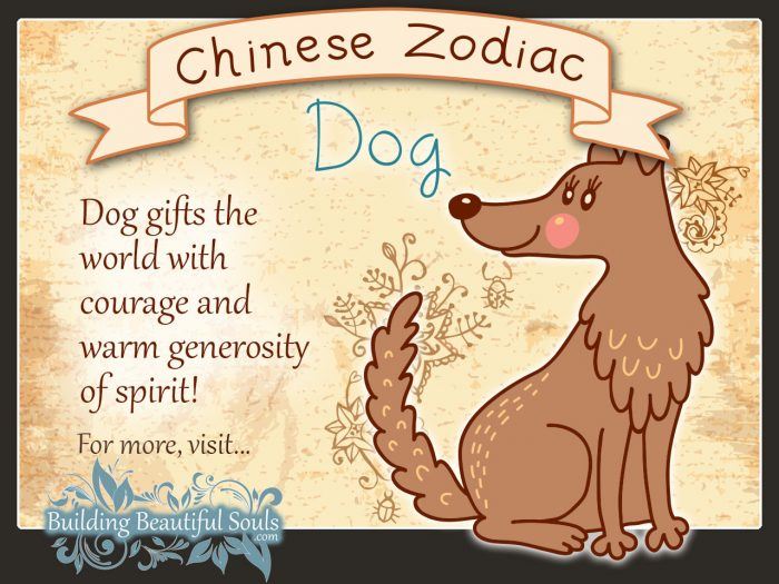 Year of the Dog in Chinese Zodiac for Kids 1280x960