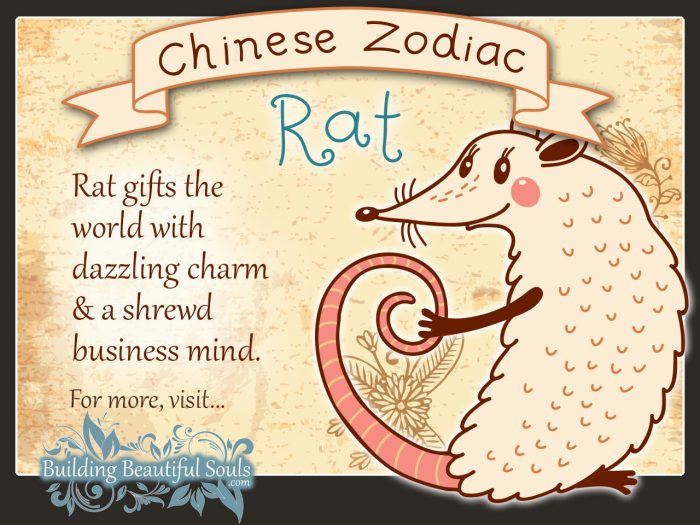 Year of the Rat in Chinese Zodiac for Kids 1280x960