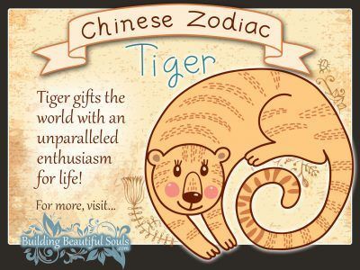 Year of the Tiger in Chinese Zodiac for Kids 1280x960