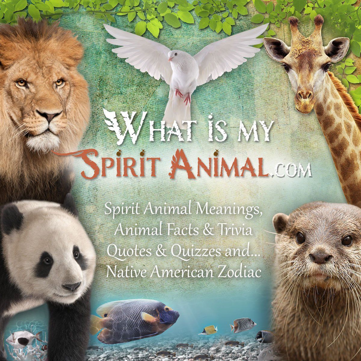 What Is My Spirit Animal 1200x1200