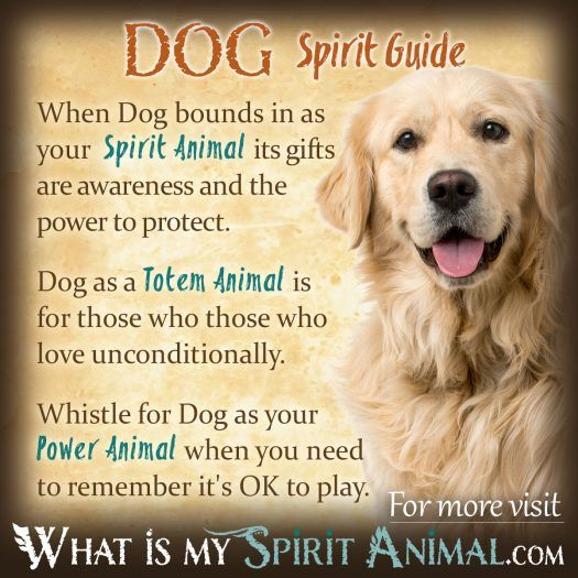 Dog Spirit, Totem, & Power Animal 1200x1200