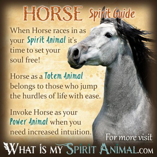 Horse Spirit, Totem, & Power Animal 1200x1200