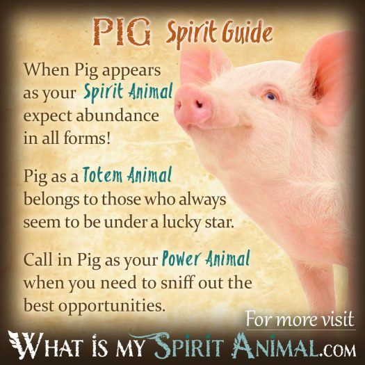 Pig Spirit, Totem, & Power Animal 1200x1200