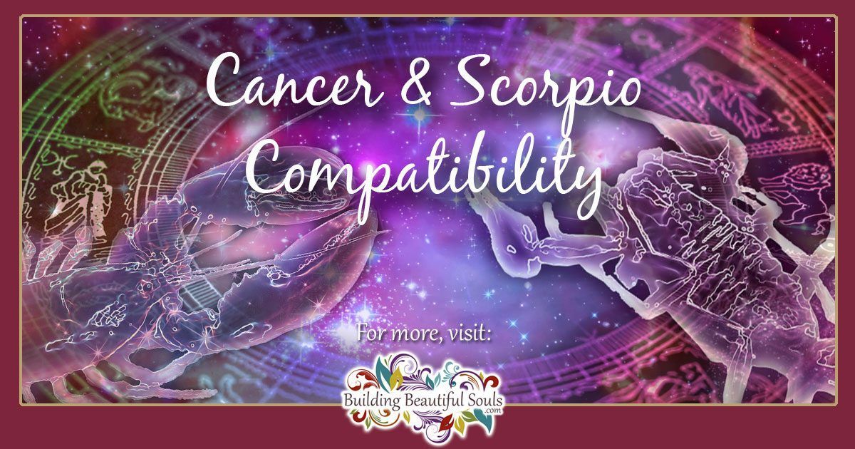 Cancer And Scorpio Compatibility Friendship Sex Love