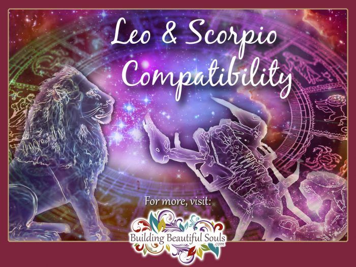 Why are Leos so attracted to Scorpios?