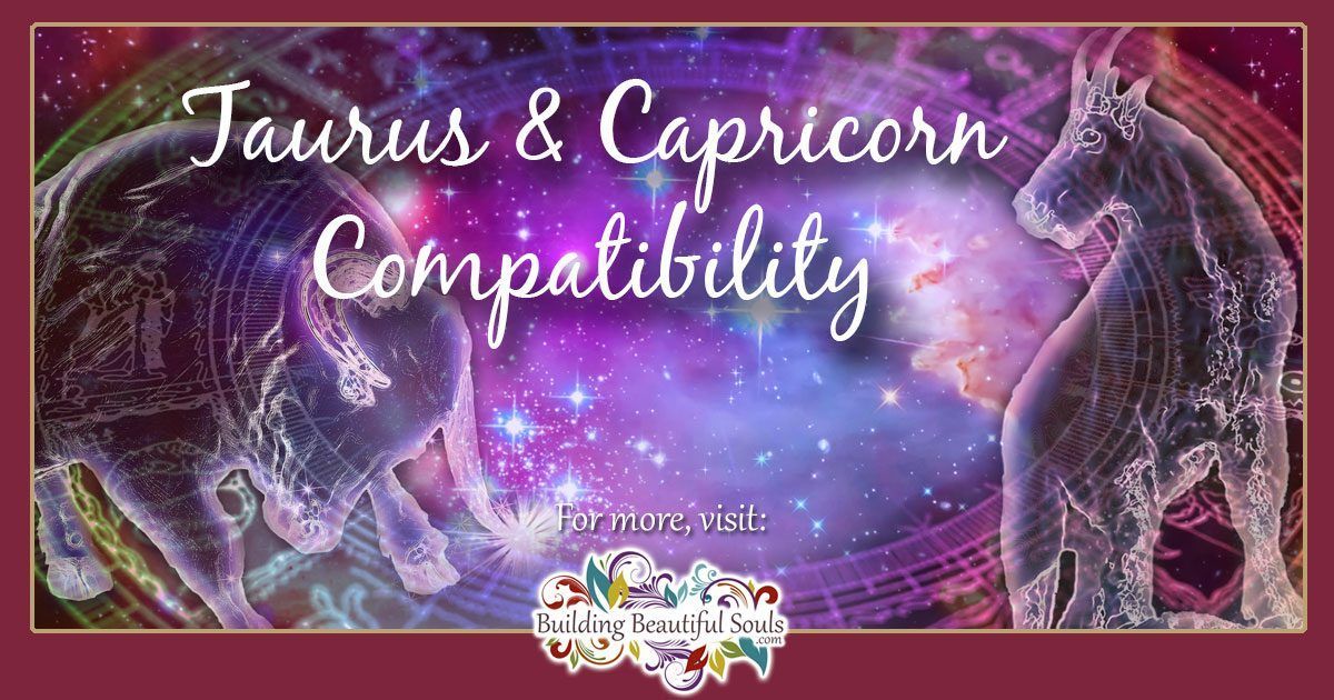 Relationship between capricorn and taurus
