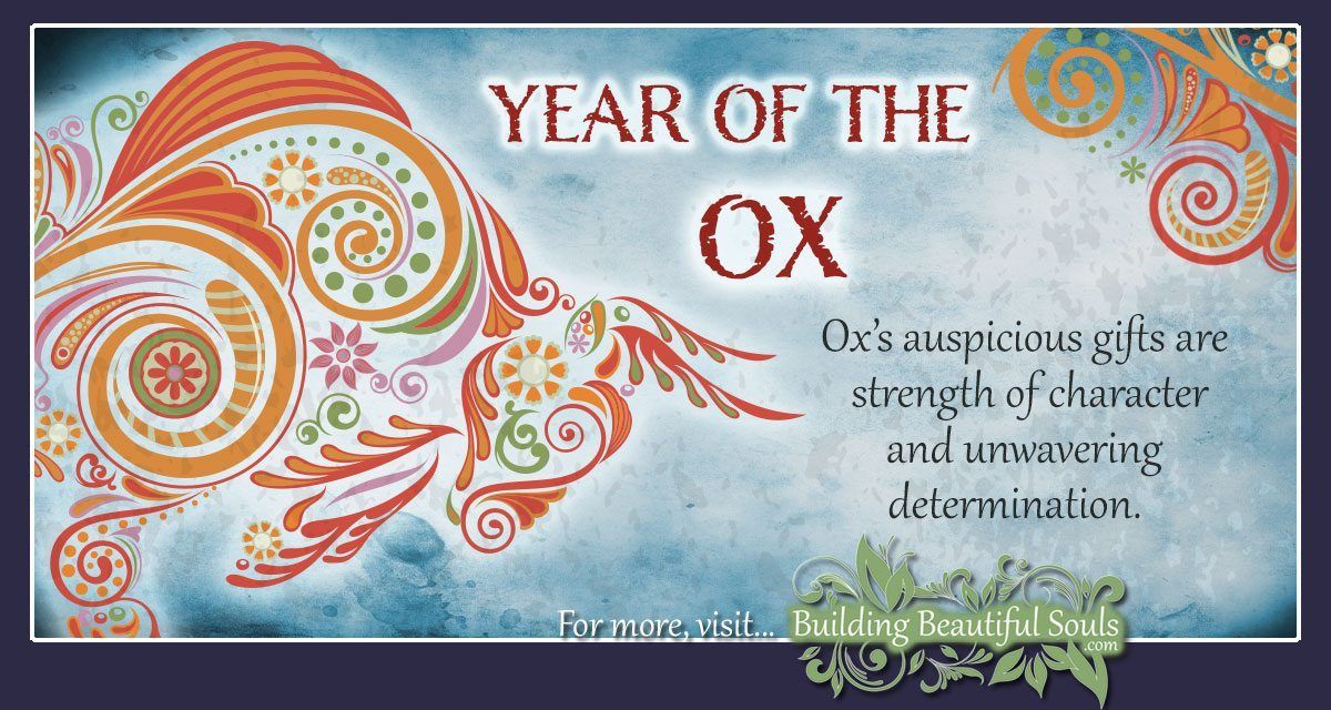 Chinese Zodiac Ox Year of the Ox Chinese Zodiac Signs Meanings