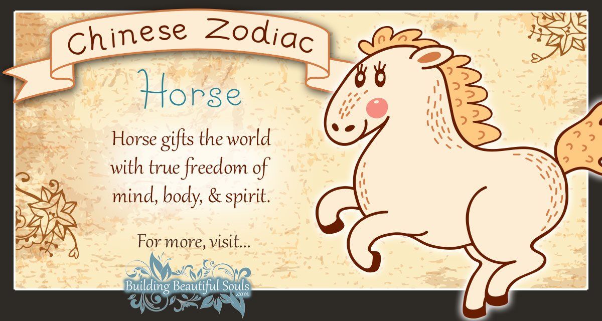 Chinese Zodiac Horse Child Personality Traits Chinese Zodiac