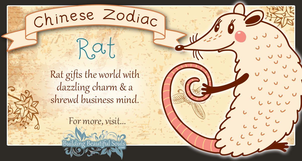 Chinese Zodiac Rat Mouse Child Personality Traits Chinese