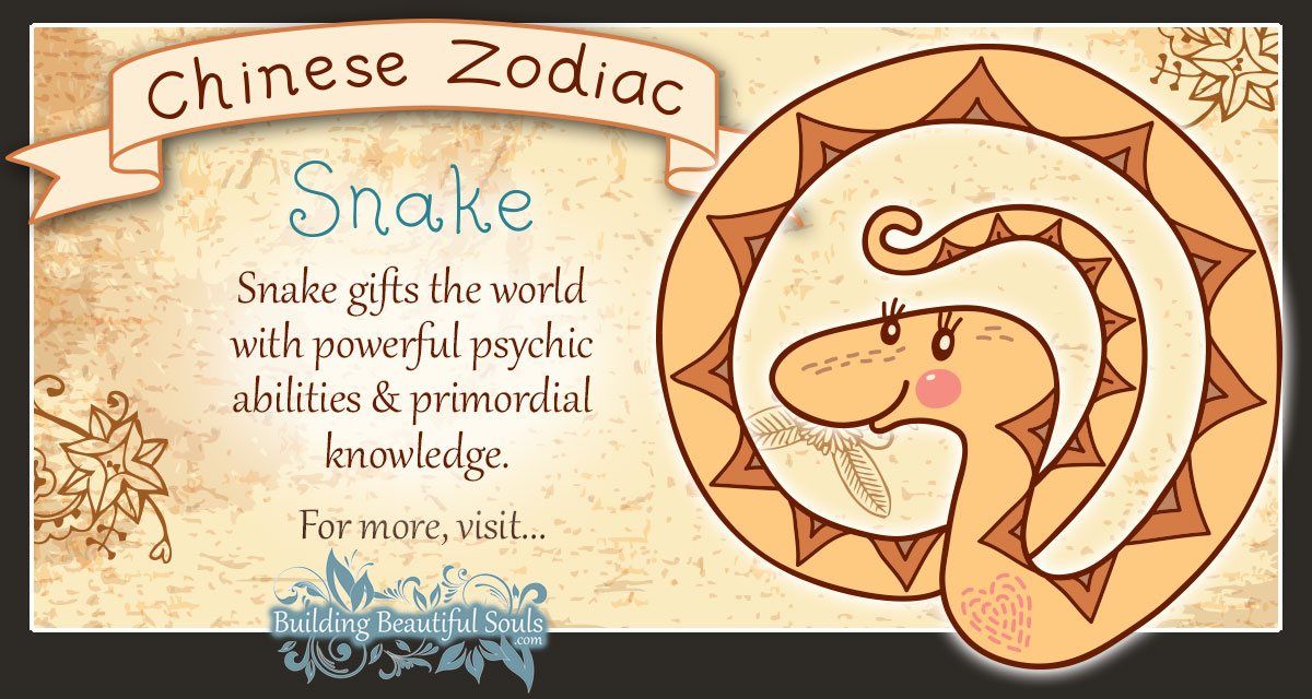 Chinese Zodiac Snake Child Personality Traits Chinese Zodiac