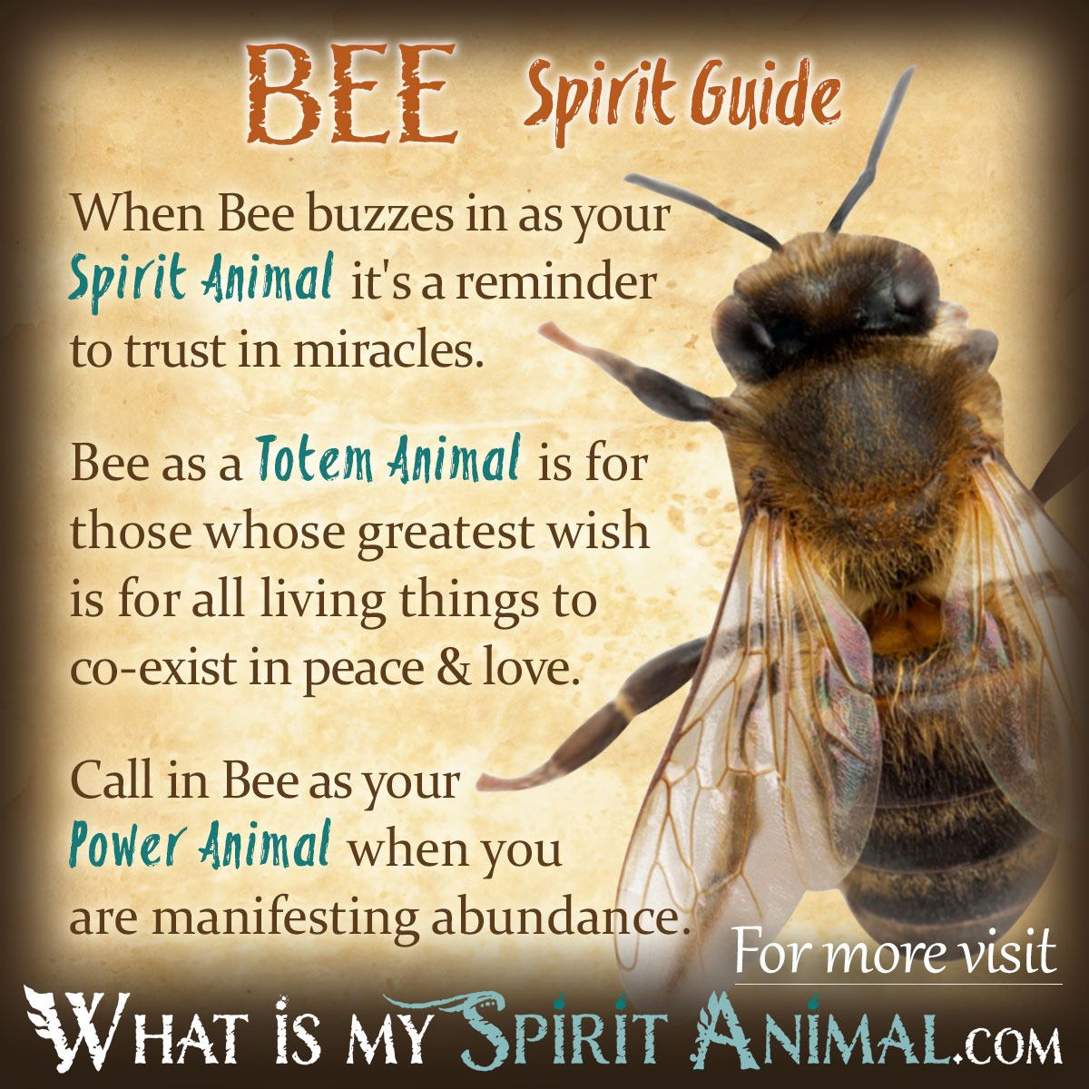 Bee Spirit Totem Power Animal Symbolism 1200x1200