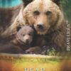 Bear Spirit Animal Altar & Prayer Card